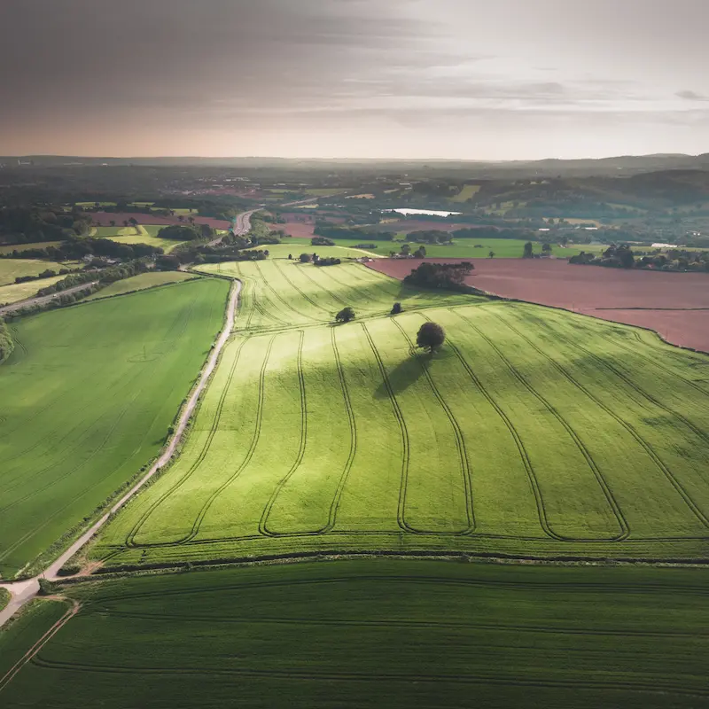 aerial-shot-beautiful-green-field-with-trees-gray-sky