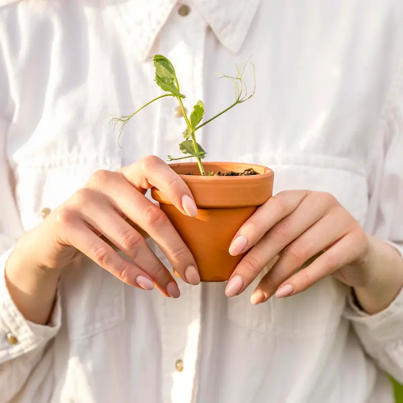 close-up-woman-holding-plant-pot