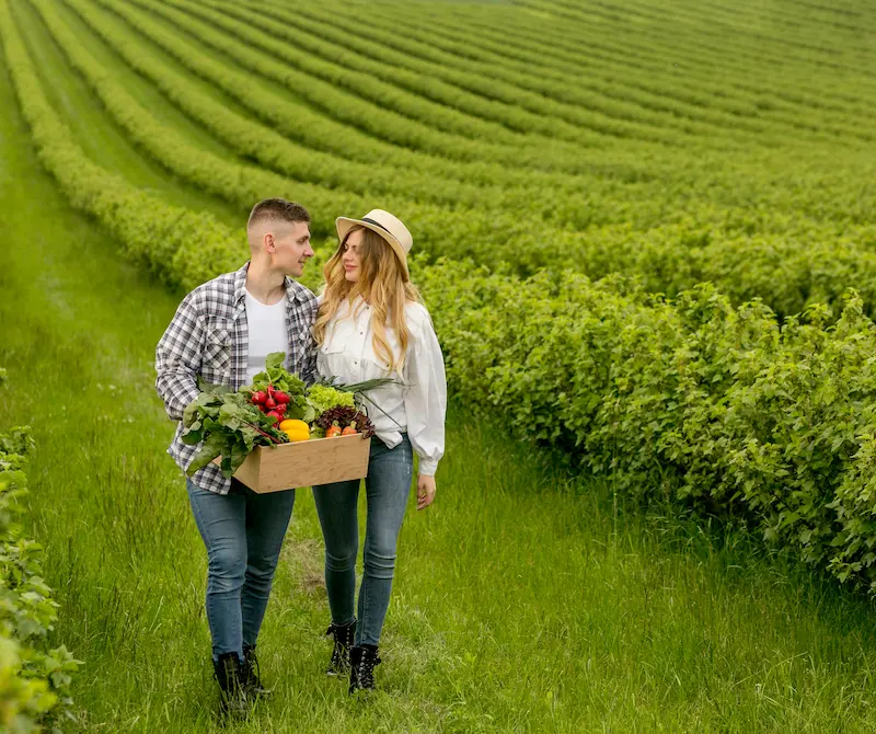 high-angle-couple-with-basket-vegetables