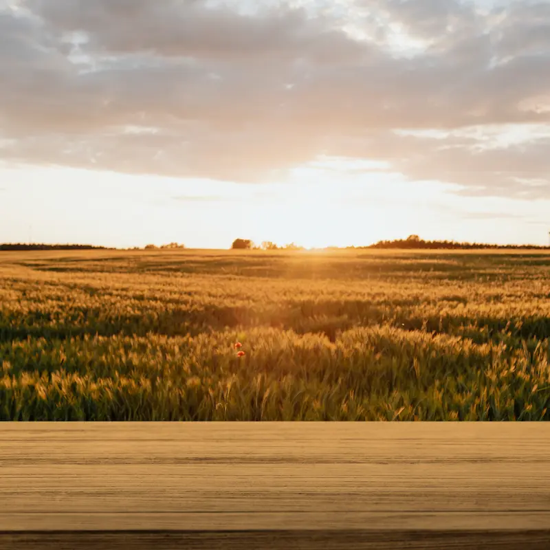 nature-product-backdrop-farm-sunlight