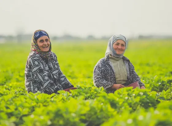 two-female-workers-working-smiling-tea-plantation